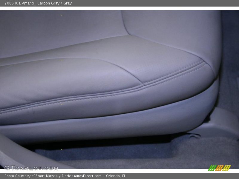 Carbon Gray / Gray 2005 Kia Amanti