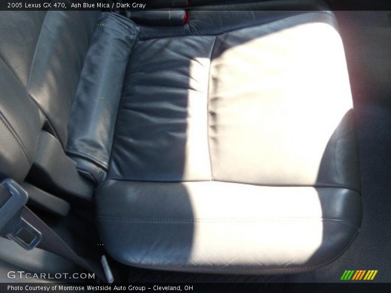 Ash Blue Mica / Dark Gray 2005 Lexus GX 470