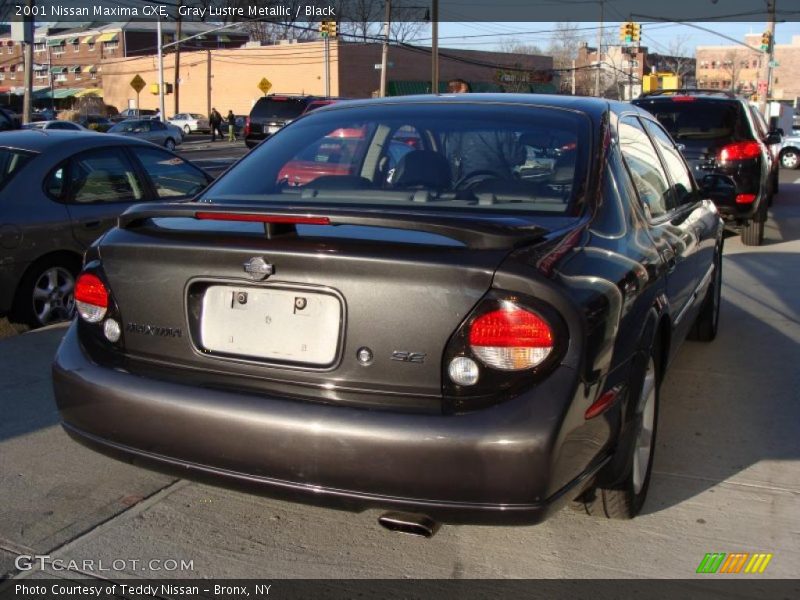 Gray Lustre Metallic / Black 2001 Nissan Maxima GXE