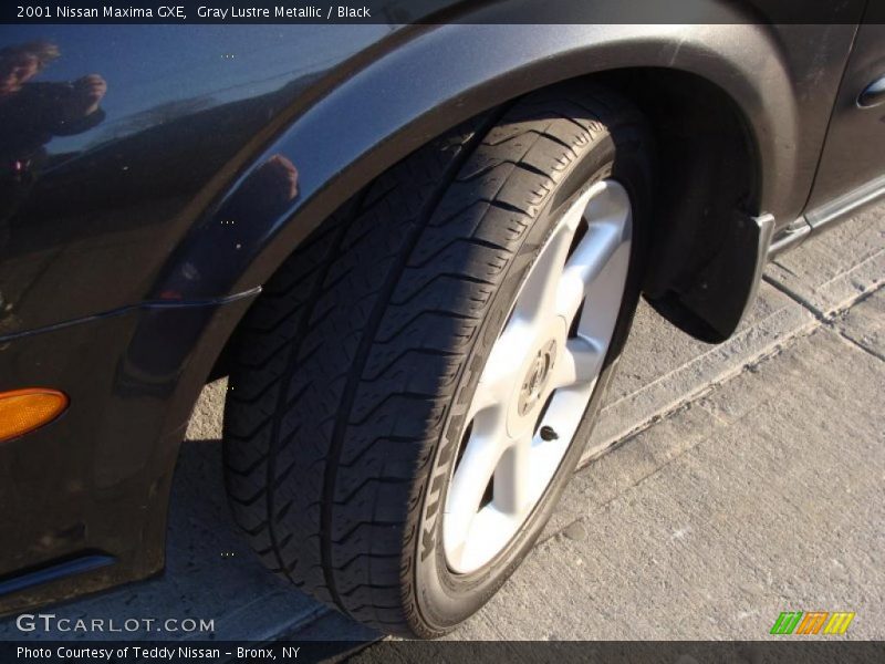 Gray Lustre Metallic / Black 2001 Nissan Maxima GXE