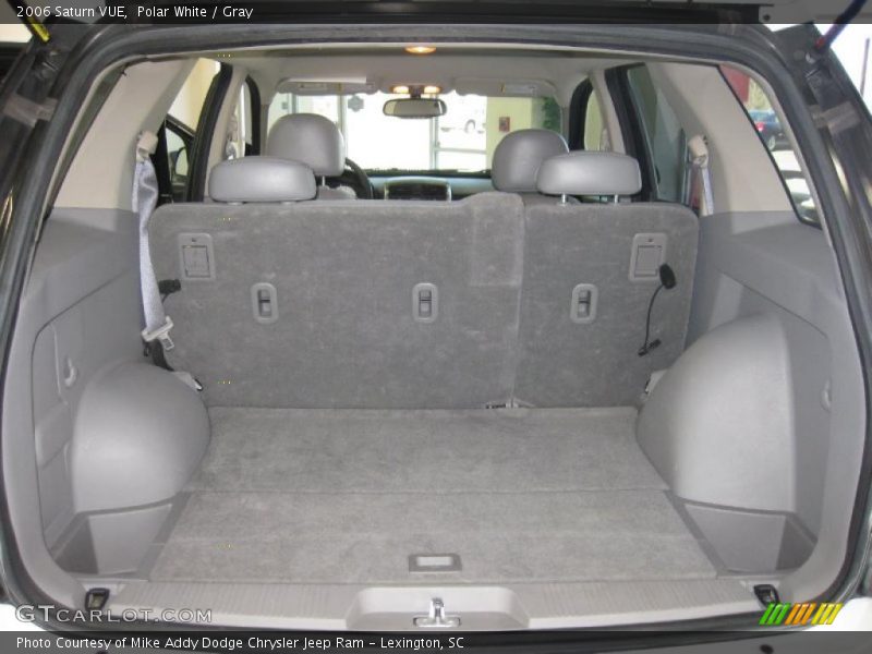 Polar White / Gray 2006 Saturn VUE