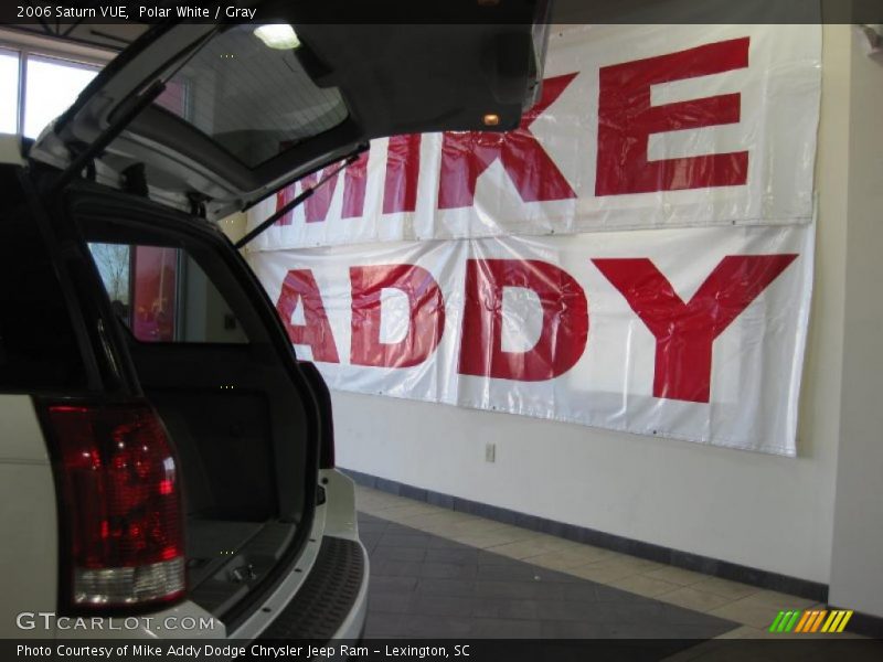 Polar White / Gray 2006 Saturn VUE