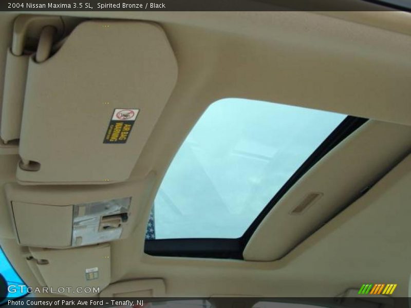 Spirited Bronze / Black 2004 Nissan Maxima 3.5 SL