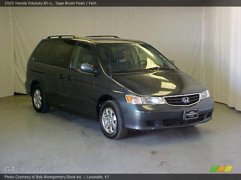 Sage Brush Pearl / Fern 2003 Honda Odyssey EX-L