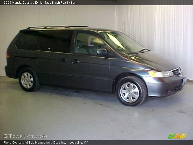 Sage Brush Pearl / Fern 2003 Honda Odyssey EX-L