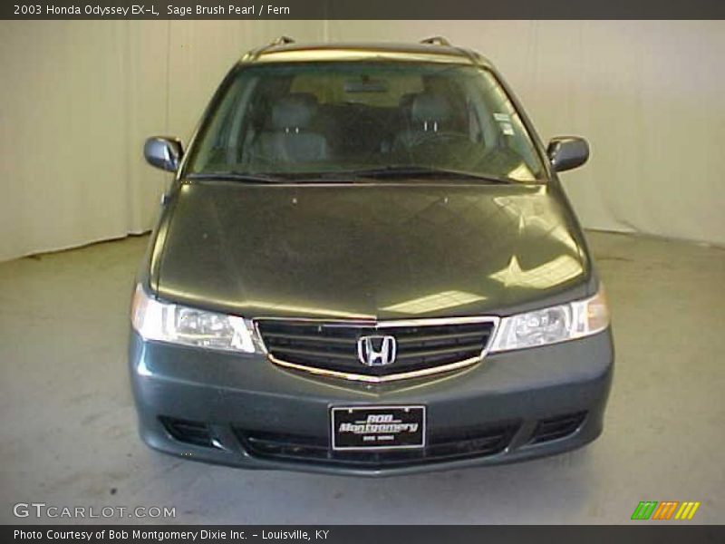 Sage Brush Pearl / Fern 2003 Honda Odyssey EX-L