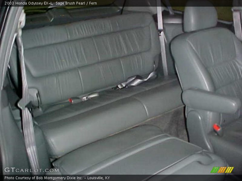 Sage Brush Pearl / Fern 2003 Honda Odyssey EX-L