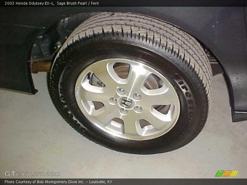 Sage Brush Pearl / Fern 2003 Honda Odyssey EX-L