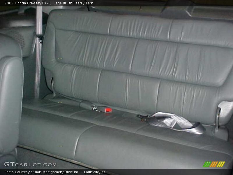 Sage Brush Pearl / Fern 2003 Honda Odyssey EX-L