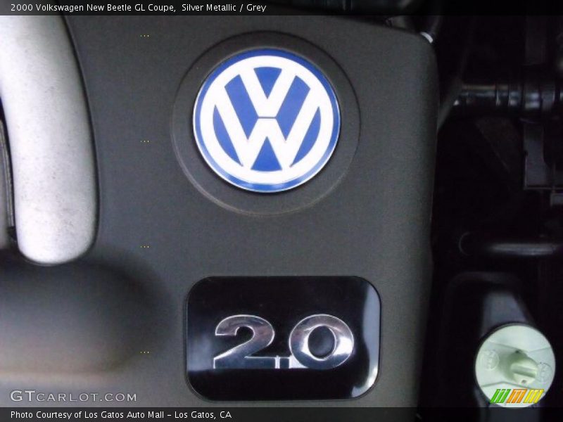 Silver Metallic / Grey 2000 Volkswagen New Beetle GL Coupe