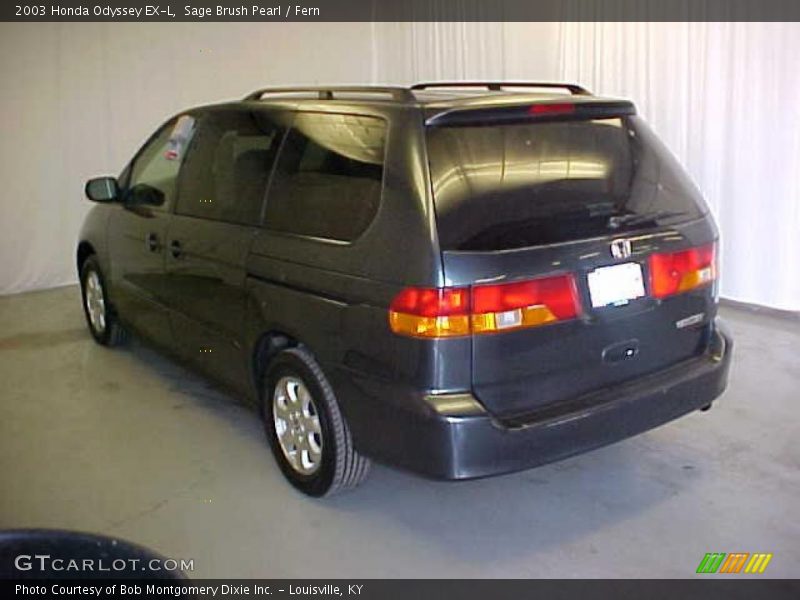 Sage Brush Pearl / Fern 2003 Honda Odyssey EX-L