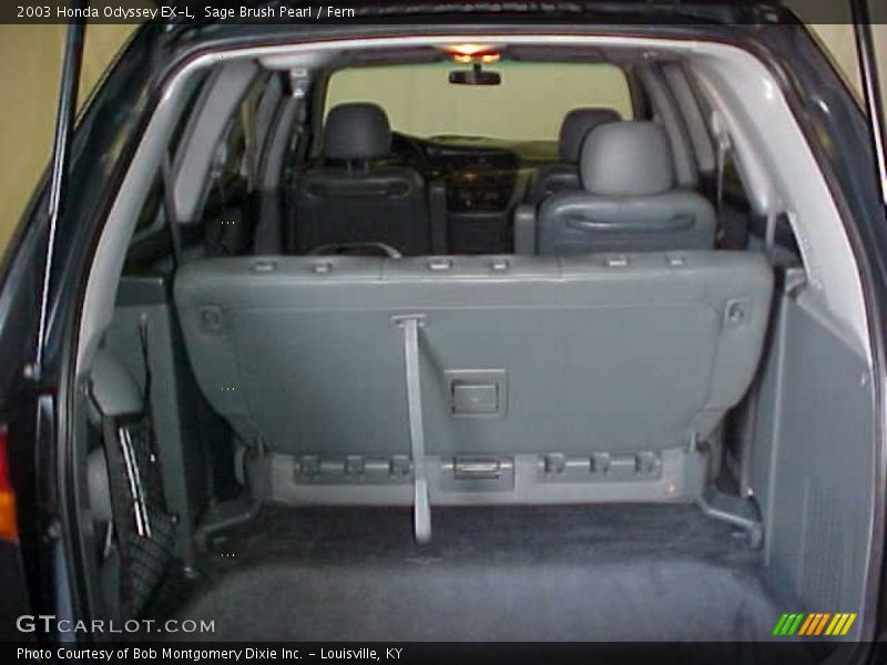 Sage Brush Pearl / Fern 2003 Honda Odyssey EX-L