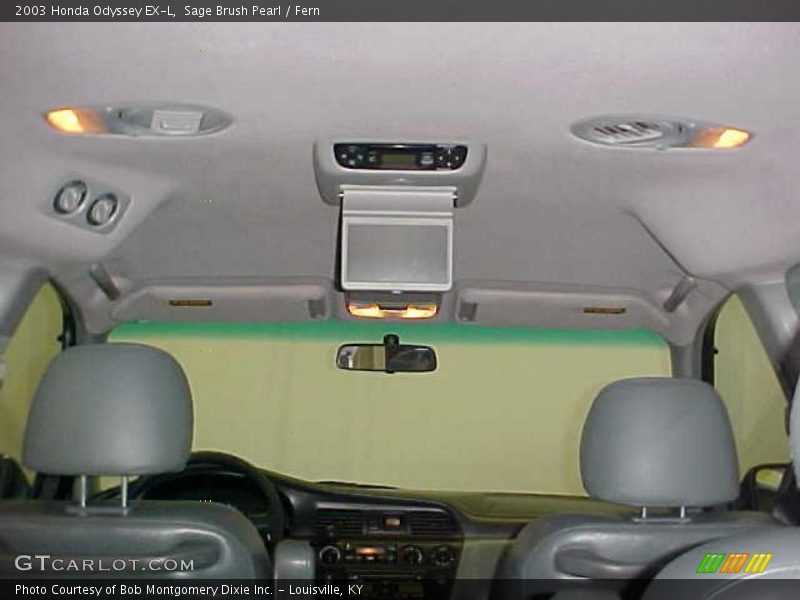 Sage Brush Pearl / Fern 2003 Honda Odyssey EX-L