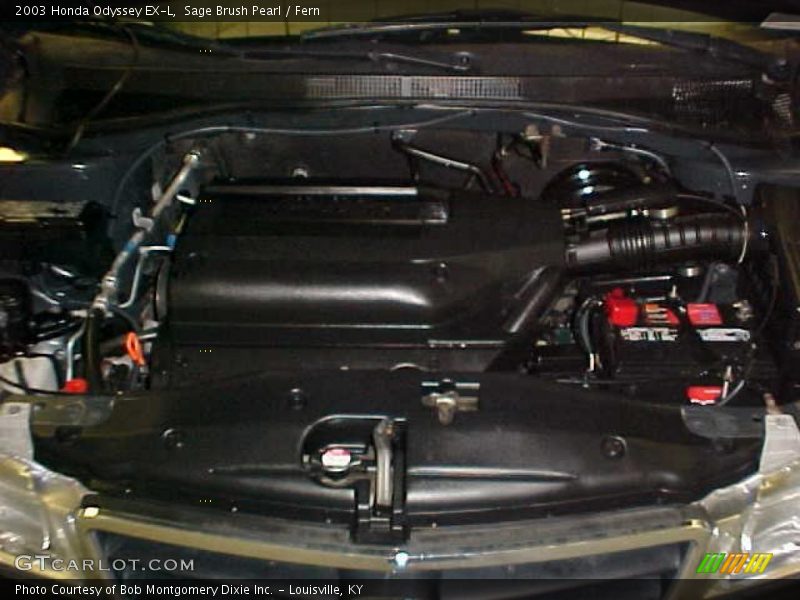 Sage Brush Pearl / Fern 2003 Honda Odyssey EX-L