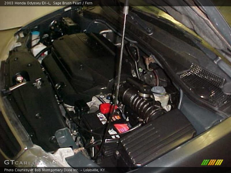 Sage Brush Pearl / Fern 2003 Honda Odyssey EX-L