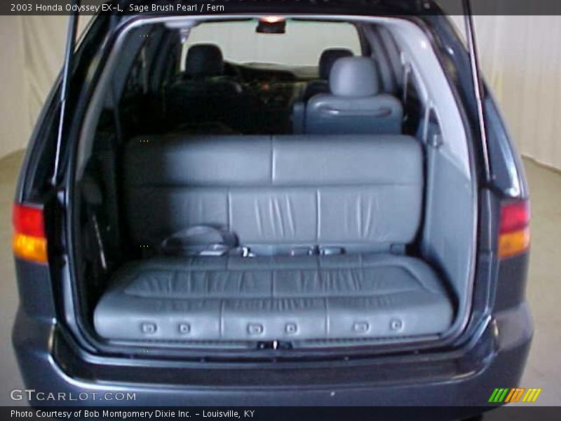 Sage Brush Pearl / Fern 2003 Honda Odyssey EX-L