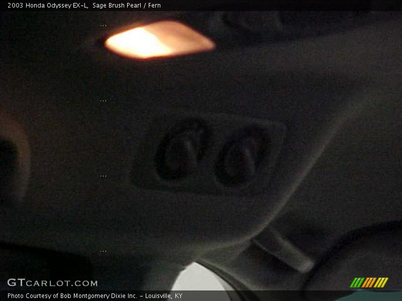 Sage Brush Pearl / Fern 2003 Honda Odyssey EX-L
