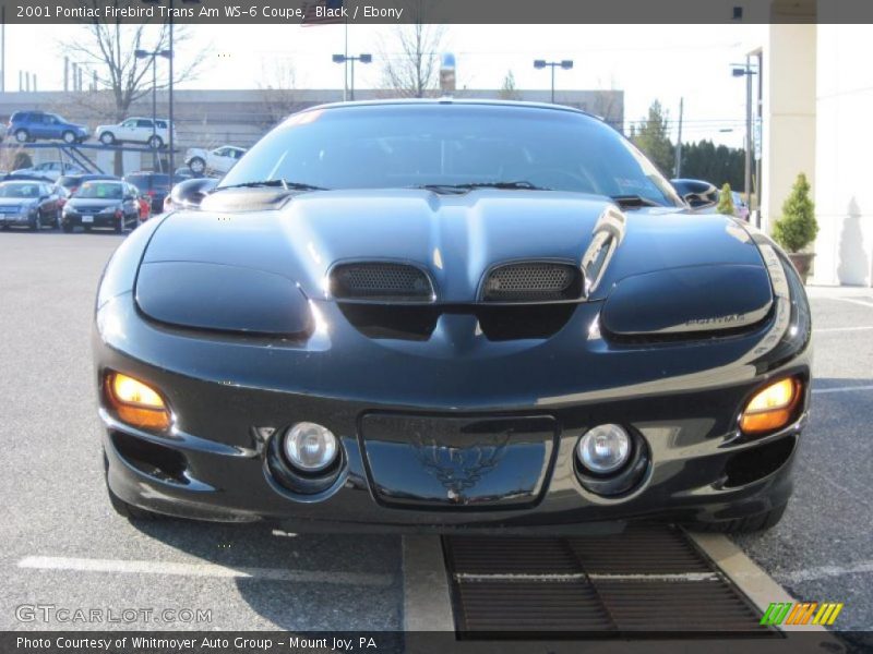Black / Ebony 2001 Pontiac Firebird Trans Am WS-6 Coupe