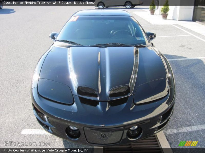 Black / Ebony 2001 Pontiac Firebird Trans Am WS-6 Coupe