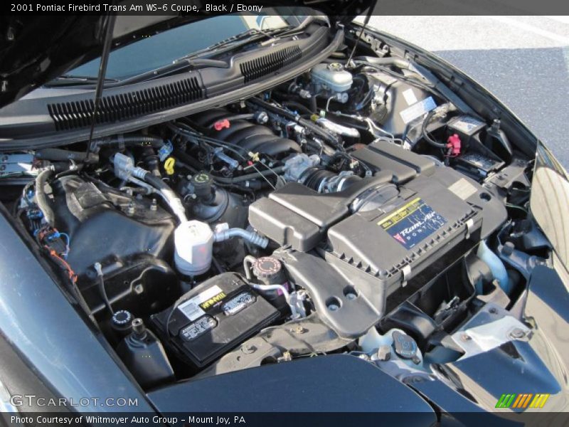 Black / Ebony 2001 Pontiac Firebird Trans Am WS-6 Coupe