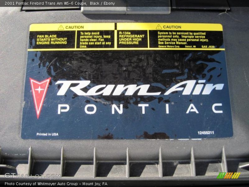 Black / Ebony 2001 Pontiac Firebird Trans Am WS-6 Coupe