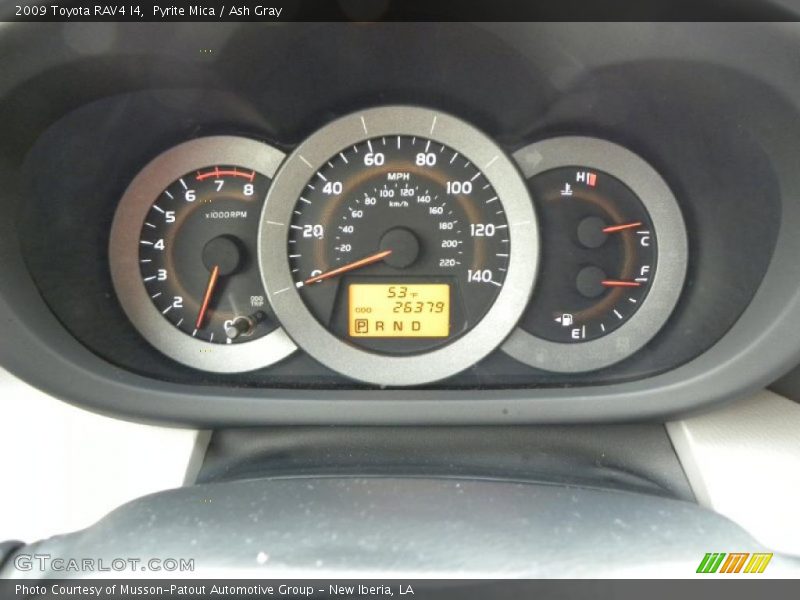Pyrite Mica / Ash Gray 2009 Toyota RAV4 I4