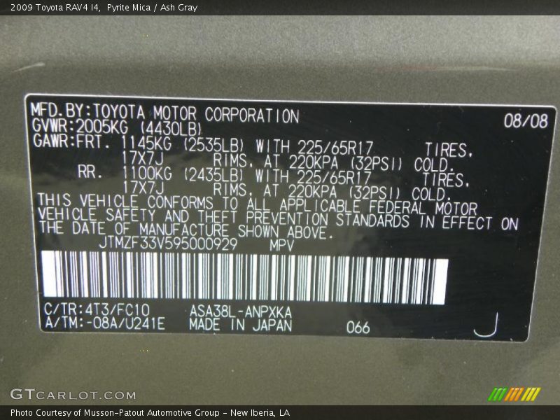 Pyrite Mica / Ash Gray 2009 Toyota RAV4 I4