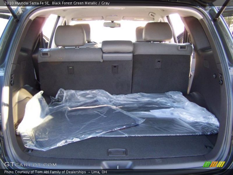 Black Forest Green Metallic / Gray 2010 Hyundai Santa Fe SE