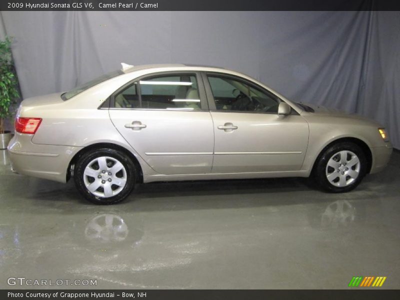 Camel Pearl / Camel 2009 Hyundai Sonata GLS V6