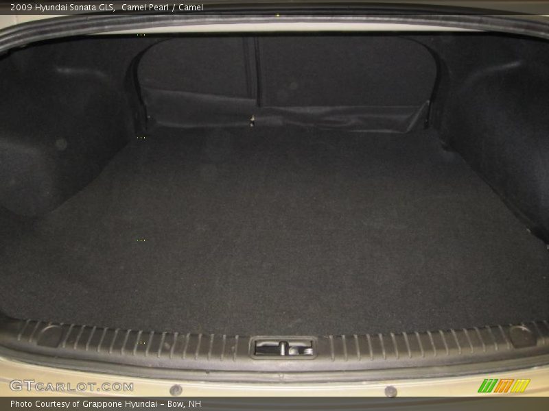 Camel Pearl / Camel 2009 Hyundai Sonata GLS