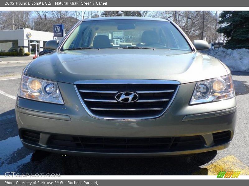 Natural Khaki Green / Camel 2009 Hyundai Sonata GLS