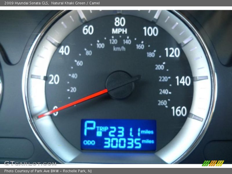 Natural Khaki Green / Camel 2009 Hyundai Sonata GLS