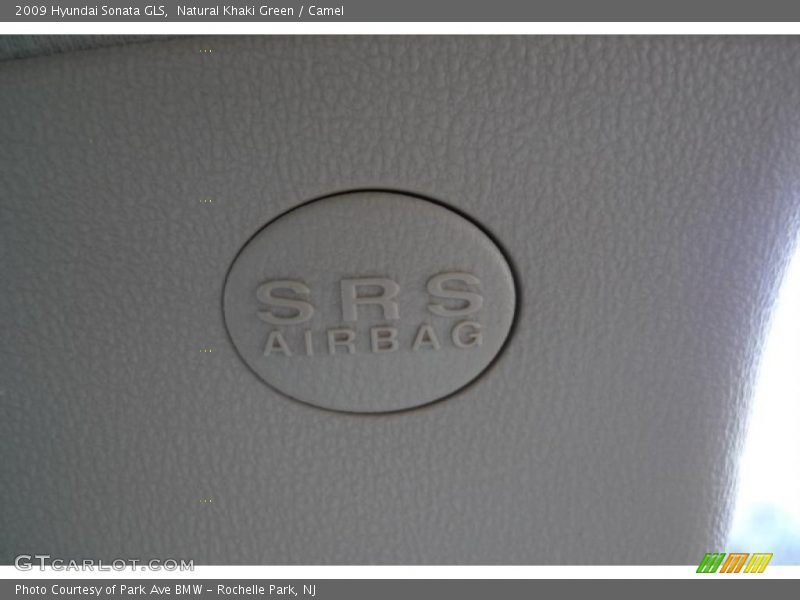 Natural Khaki Green / Camel 2009 Hyundai Sonata GLS