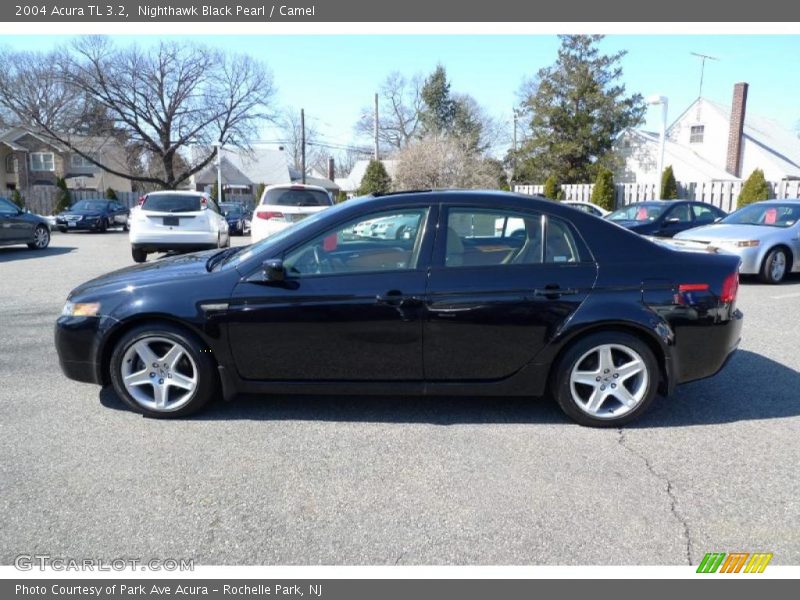 Nighthawk Black Pearl / Camel 2004 Acura TL 3.2