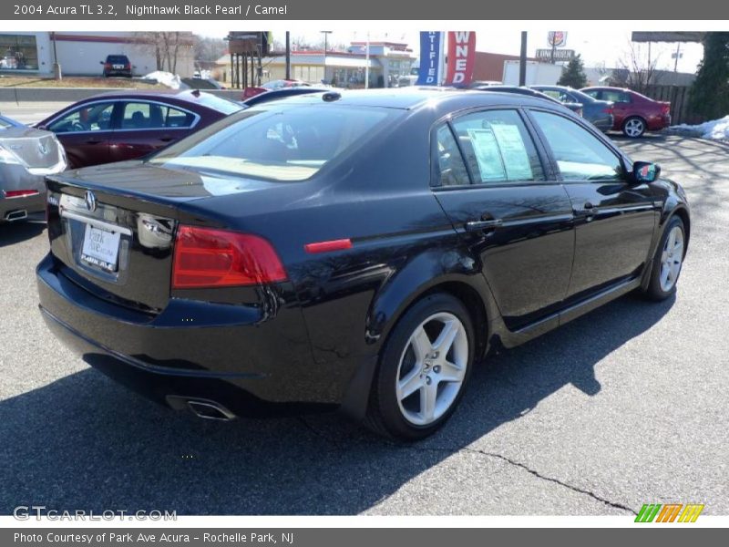 Nighthawk Black Pearl / Camel 2004 Acura TL 3.2