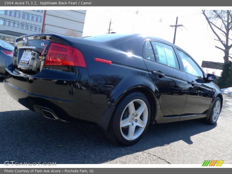 Nighthawk Black Pearl / Camel 2004 Acura TL 3.2