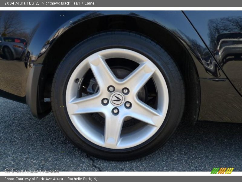 Nighthawk Black Pearl / Camel 2004 Acura TL 3.2