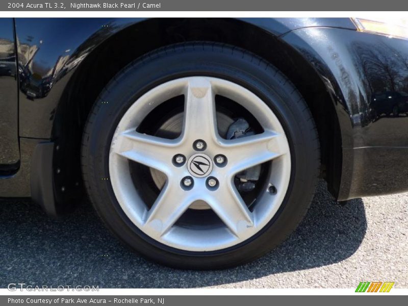 Nighthawk Black Pearl / Camel 2004 Acura TL 3.2