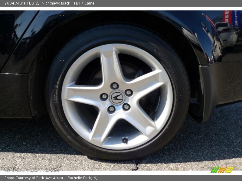 Nighthawk Black Pearl / Camel 2004 Acura TL 3.2