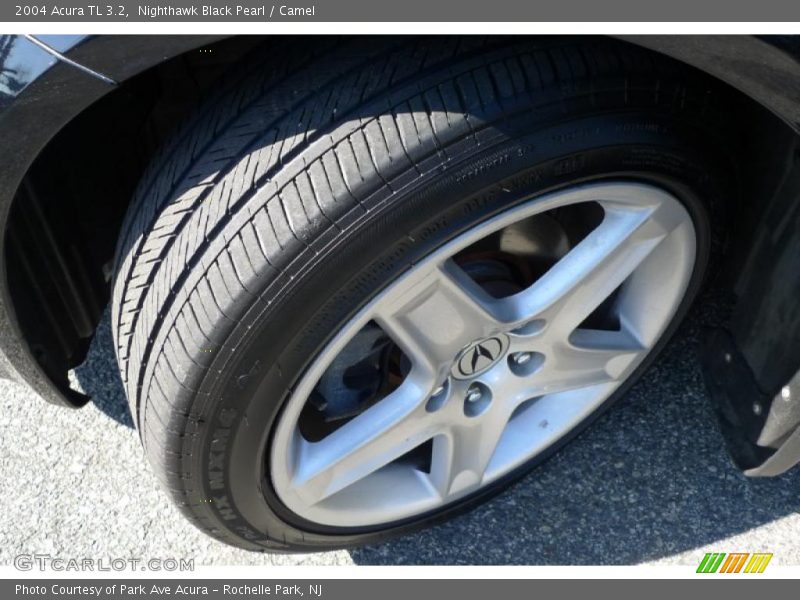 Nighthawk Black Pearl / Camel 2004 Acura TL 3.2