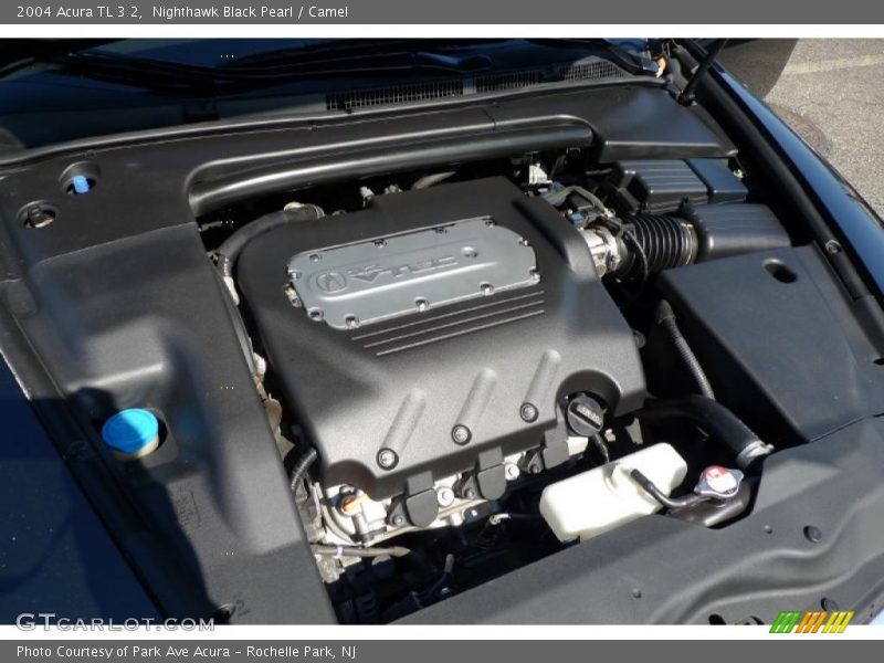 Nighthawk Black Pearl / Camel 2004 Acura TL 3.2