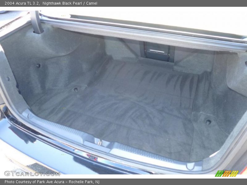 Nighthawk Black Pearl / Camel 2004 Acura TL 3.2