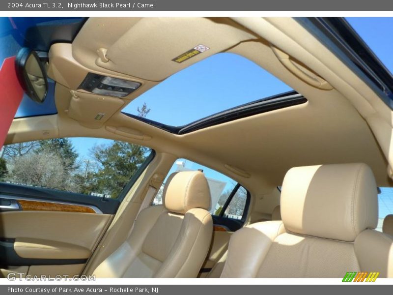 Nighthawk Black Pearl / Camel 2004 Acura TL 3.2