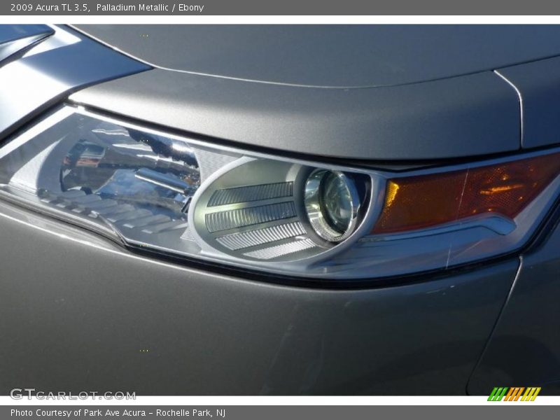Palladium Metallic / Ebony 2009 Acura TL 3.5