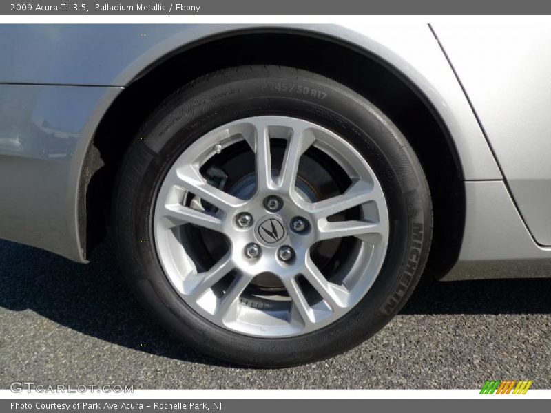 Palladium Metallic / Ebony 2009 Acura TL 3.5