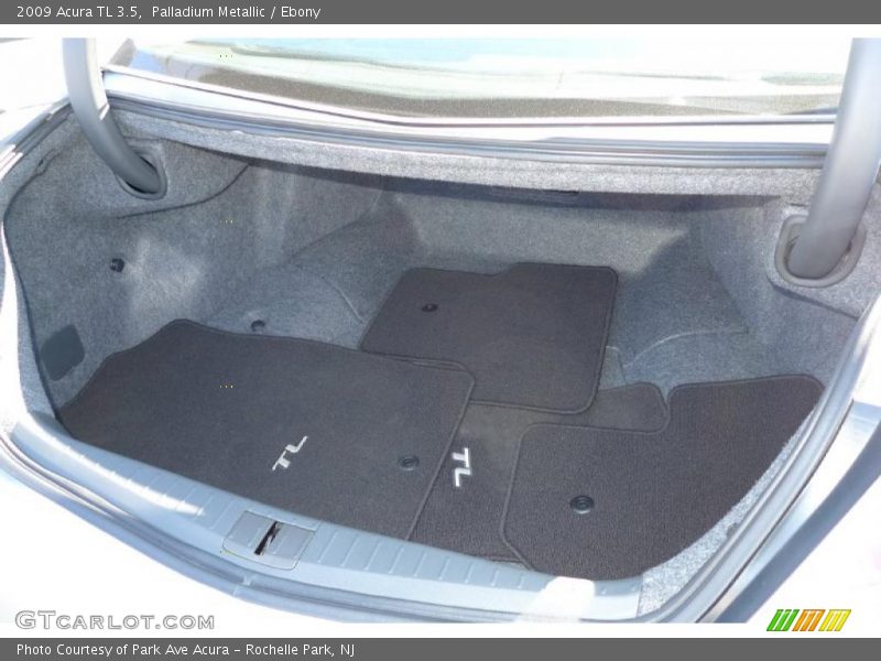 Palladium Metallic / Ebony 2009 Acura TL 3.5