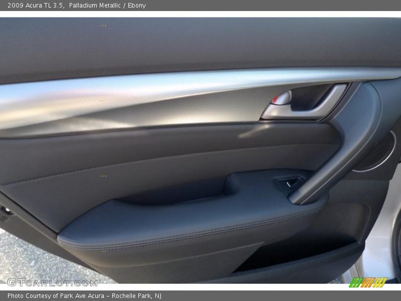 Palladium Metallic / Ebony 2009 Acura TL 3.5