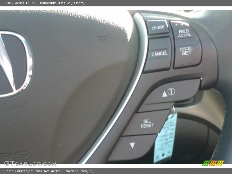 Palladium Metallic / Ebony 2009 Acura TL 3.5