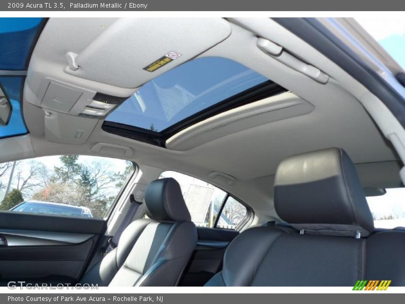 Palladium Metallic / Ebony 2009 Acura TL 3.5