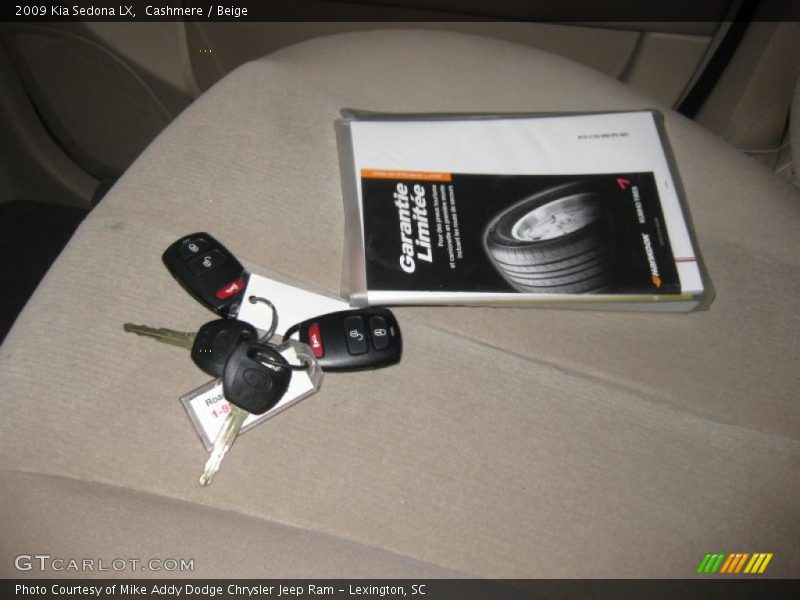 Cashmere / Beige 2009 Kia Sedona LX